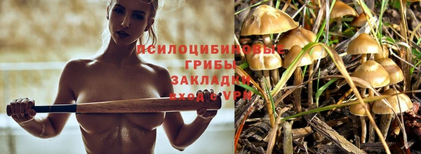 герыч Сосновый Бор