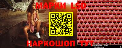 крисы Беслан