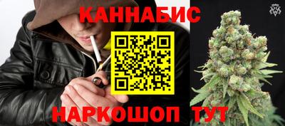 крисы Беслан