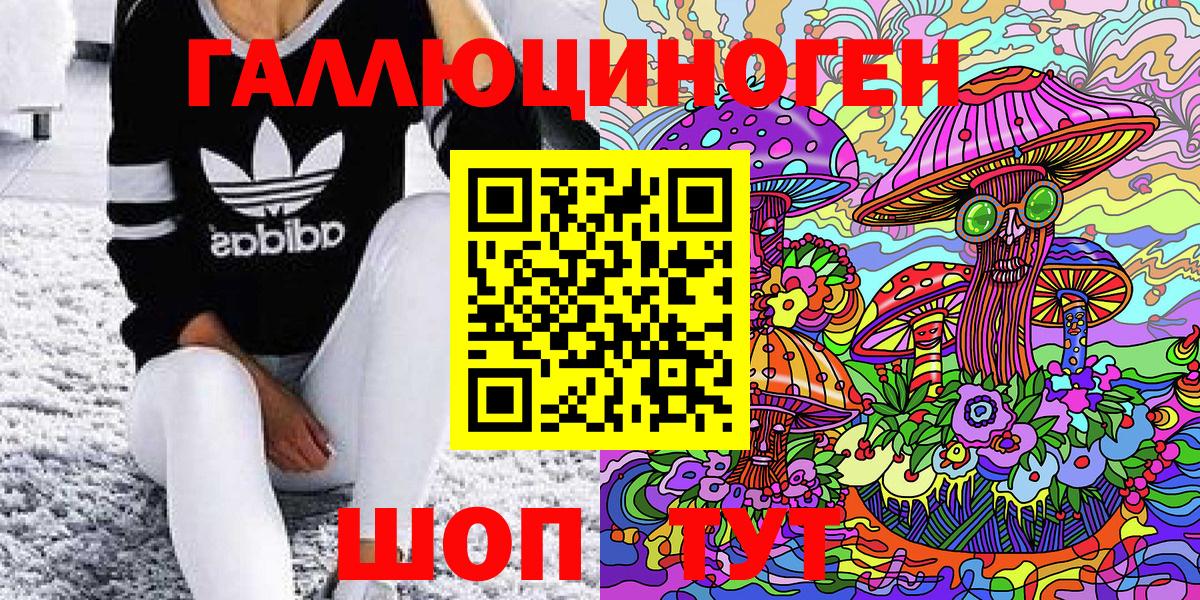 Галлюциногенные грибы Psilocybe  Ступино  Псилоцибиновые грибы Magic Shrooms 